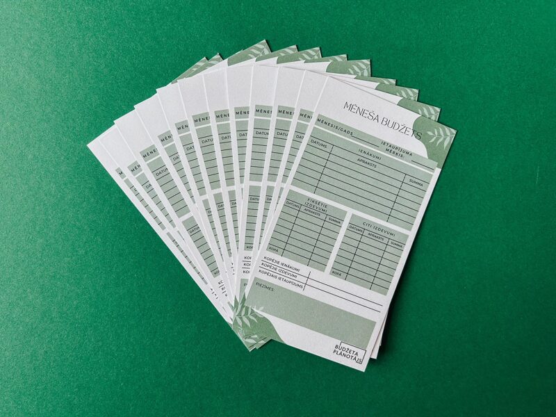 12 MĒNEŠU BUDŽETA KARTĪTES